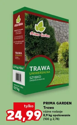 Trawa różne rodzaje promocja w Kaufland