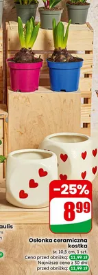 Gazetka 06 / 2026, strona 58 promocja w Dino