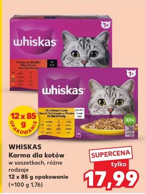 Karma dla kotów w saszetkach, różne rodzaje promocja w Kaufland