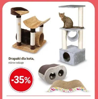 Drapaki dla kota promocja w Super Zoo