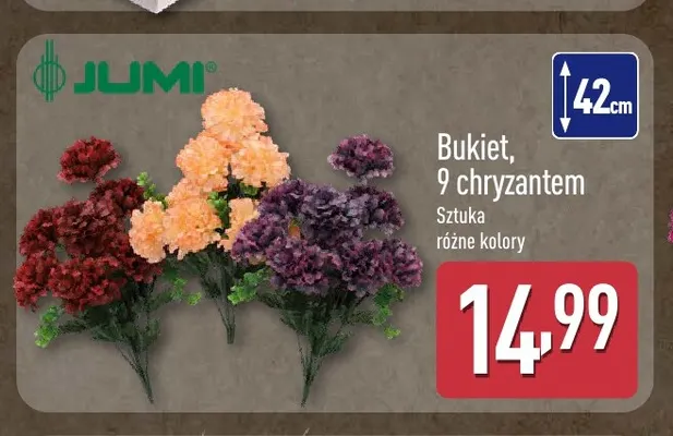 Bukiet 9 chryzantem Jumi promocja w Aldi