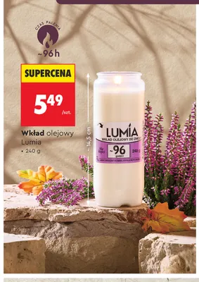 Wkład olejowy Lumia promocja w Biedronka