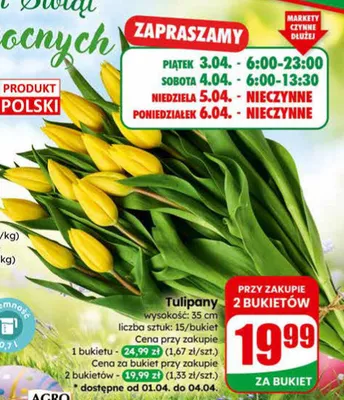 Tulipany promocja w Dino