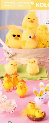 Kurczaczki lub zajączki do koszyczka wielkanocnego, różne wzory, kolory i zestawy promocja w Biedronka
