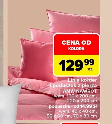 Poduszka z pierza AMW Nawrot 70x80 cm promocja w Carrefour