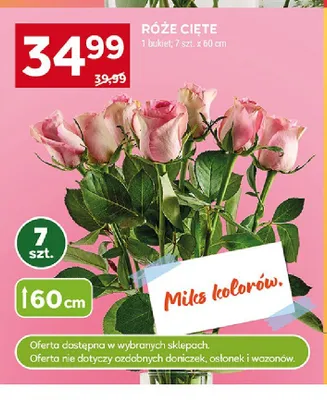 Róże cięte 60cm promocja w Stokrotka
