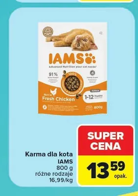 Karma dla kota Iams promocja w Carrefour