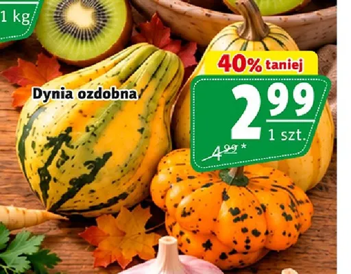 Dynia ozdobna promocja w Prim Market