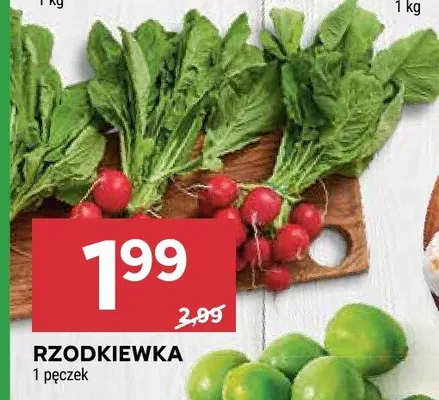 Rzodkiewka promocja w Stokrotka