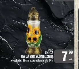 Znicz Da La 798 Słonecznik Dabox promocja w Tomi Markt