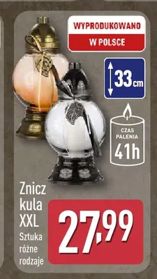Znicz kalia promocja w Aldi