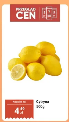 Cytryna promocja w Dino