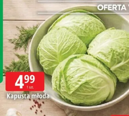 Kapusta młoda promocja w Leclerc