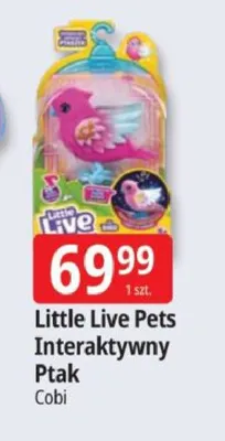 Interaktywny Ptak Little Live Pets promocja w Leclerc