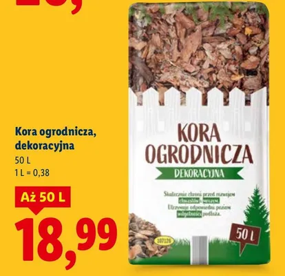 Kora ogrodnicza, dekoracyjna promocja w Lidl