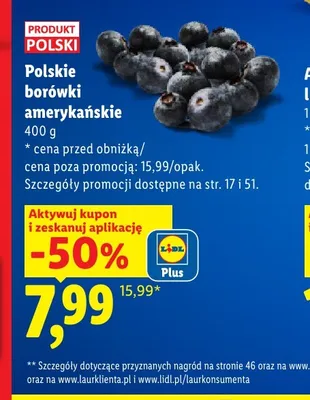 Polskie borówki amerykańskie promocja w Lidl