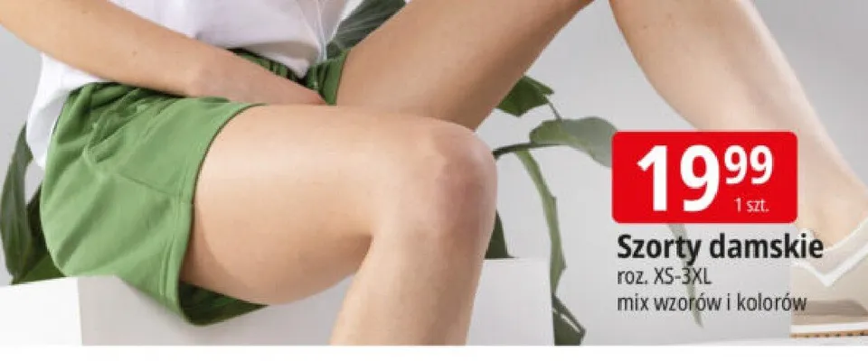 Szorty damskie roz. XS-3XL promocja w Leclerc