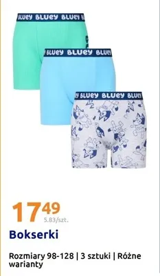 Bokserki Bluey promocja w Action