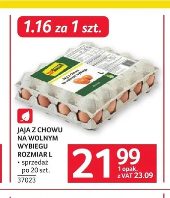 Jaja z chowu na wolnym wybiegu TopSeller promocja w Selgros