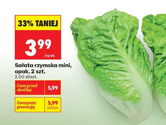 Sałata rzymska mini promocja w Biedronka