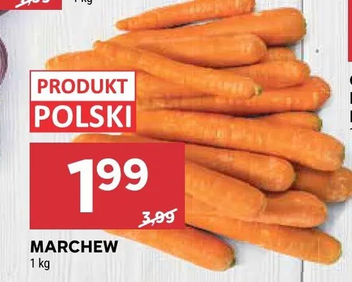 Marchew promocja w Stokrotka