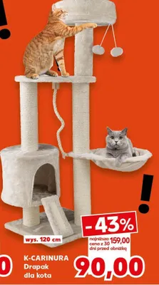Drapak dla kota wys. 120 cm promocja w Kaufland