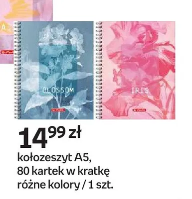Kołozeszyt Herlitz A5 80 kartek w kratkę promocja w Empik