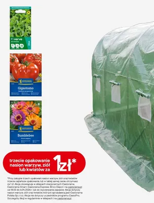 Trzecie opakowanie nasion warzyw, ziół lub kwiatów promocja w Castorama