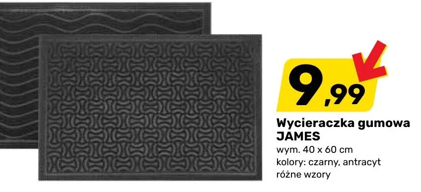 Wycieraczka gumowa James promocja w Bricomarche