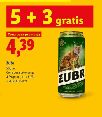 Piwo Żubr promocja w Lidl