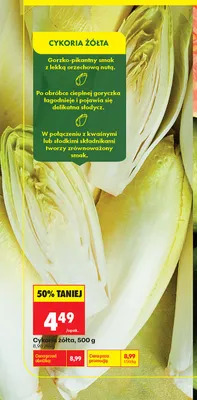Cykoria żółta promocja w Biedronka