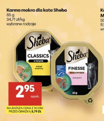 Karma mokra dla kota Sheba Finesse delikatny mus z łososiem promocja w Delikatesy Centrum