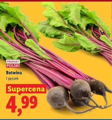 Burak ćwikłowy botwina promocja w Lidl