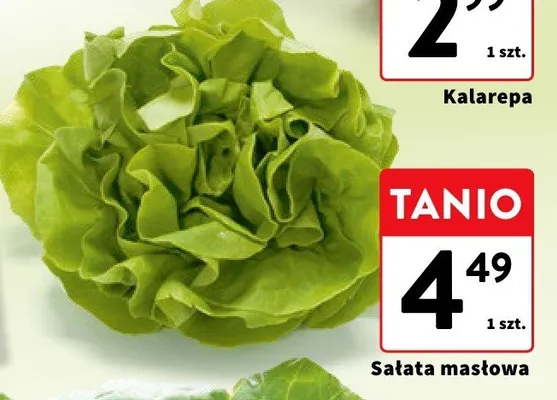 Sałata masłowa promocja w Intermarche