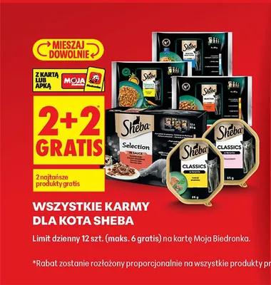 Wszystkie karmy dla kota 2+2 GRATIS promocja w Biedronka