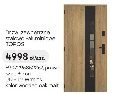 Drzwi zewnętrzne stalowo-aluminiowe TOPOS promocja w Castorama