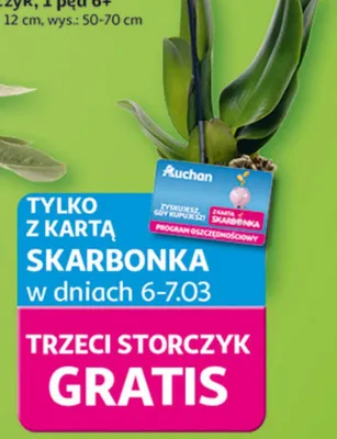 Gazetka 30 Lat Hipermarket Auchan, strona 12 promocja w Auchan