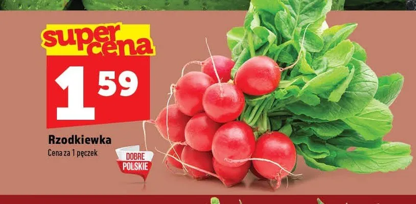 Rzodkiewka promocja w TOPAZ