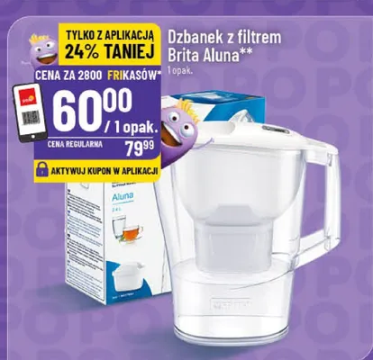 Dzbanek z filtrem Aluna promocja w POLOmarket
