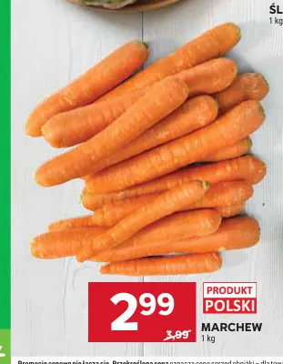 Marchew promocja w Stokrotka