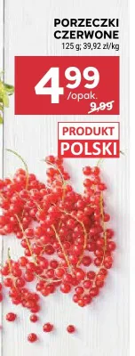 Porzeczki czerwone promocja w Stokrotka