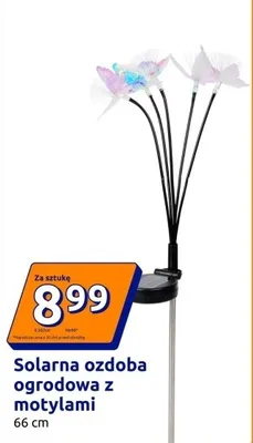 Solarna ozdoba ogrodowa z motylami promocja w Action
