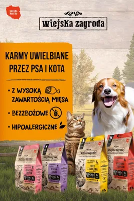 Gazetka, strona 12 promocja w Aquael zoo
