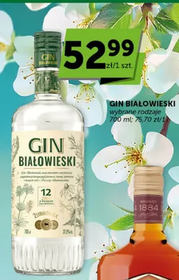 Gin wybrane rodzaje promocja w Groszek