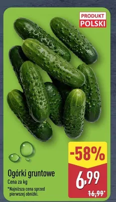 Ogórki gruntowe polskie promocja w Aldi