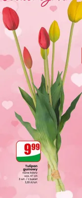 Tulipan gumowy różne kolory promocja w Dino