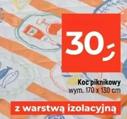 Koc piknikowy promocja w Dealz