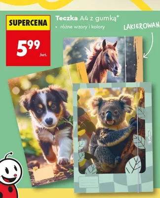 Teczka A4 z gumką lakierowana Herlitz promocja w Biedronka