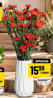Goździki bukiet 7 szt. promocja w POLOmarket