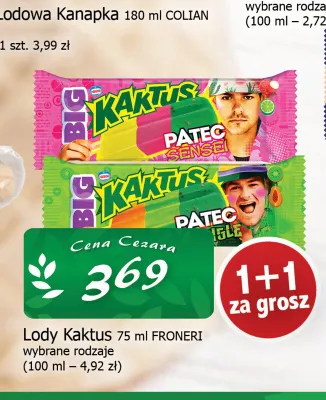 Lody Kaktus Froneri promocja w CEZAR Delikatesy